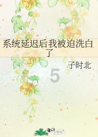 ST起步(603557.SH)：不属于浙江省凤凰行动计划的对象